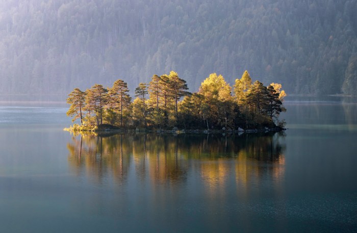 6 Steps to Find Tranquility Through Meditation